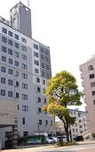 Туры в отель Kenchomae Green Hotel Туры в отель Kenchomae Green Hotel