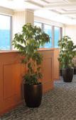 Туры в отель Select Royal Yatsushiro Туры в отель Select Royal Yatsushiro