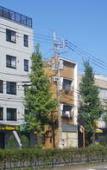 Туры в отель Nagomi - Hostel Туры в отель Nagomi - Hostel