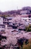 Туры в отель Shigisan Kanko Hotel Туры в отель Shigisan Kanko Hotel