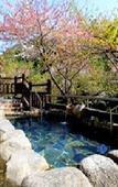 Туры в отель Shigisan Kanko Hotel Туры в отель Shigisan Kanko Hotel
