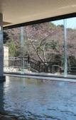 Туры в отель Shigisan Kanko Hotel Туры в отель Shigisan Kanko Hotel