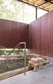Туры в отель Watarase Onsen Hotel Sasayuri Туры в отель Watarase Onsen Hotel Sasayuri