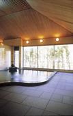 Туры в отель Watarase Onsen Hotel Sasayuri Туры в отель Watarase Onsen Hotel Sasayuri