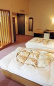 Туры в отель Watarase Onsen Hotel Sasayuri Туры в отель Watarase Onsen Hotel Sasayuri