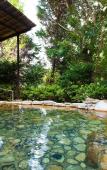 Туры в отель Watarase Onsen Hotel Sasayuri Туры в отель Watarase Onsen Hotel Sasayuri
