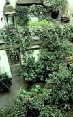 Туры в отель Monte Carlo Туры в отель Monte Carlo