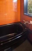 Туры в отель HOTEL PAUL HOUSE Туры в отель HOTEL PAUL HOUSE