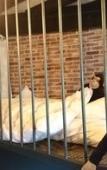 Туры в отель Yadoya Lodge Туры в отель Yadoya Lodge