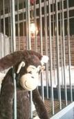 Туры в отель Yadoya Lodge Туры в отель Yadoya Lodge