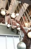 Туры в отель Yadoya Lodge Туры в отель Yadoya Lodge