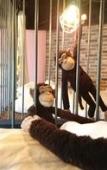 Туры в отель Yadoya Lodge Туры в отель Yadoya Lodge