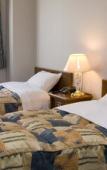 Туры в отель Shinseto Station Hotel Туры в отель Shinseto Station Hotel