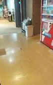 Туры в отель Kai Resort Hotel Туры в отель Kai Resort Hotel