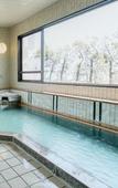 Туры в отель Hotel Shiroyama Туры в отель Hotel Shiroyama