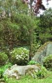 Туры в отель Onsen Guesthouse Sakaeya Туры в отель Onsen Guesthouse Sakaeya