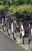 Туры в отель HEAL In Yokkaichi Туры в отель HEAL In Yokkaichi