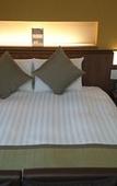Туры в отель Dormy Inn Premium Kanda Туры в отель Dormy Inn Premium Kanda