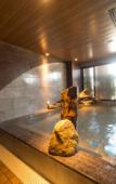 Туры в отель Dormy Inn Premium Kanda Туры в отель Dormy Inn Premium Kanda