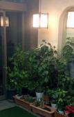 Туры в отель Ryokan Meiryu Туры в отель Ryokan Meiryu