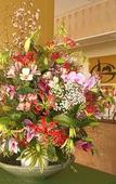 Туры в отель Gamagori Hotel Туры в отель Gamagori Hotel