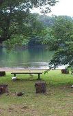 Туры в отель Izu Ippeki lake lakeside terrace Туры в отель Izu Ippeki lake lakeside terrace