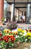Туры в отель Hotel Shouryuen Kaisei Туры в отель Hotel Shouryuen Kaisei