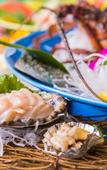 Туры в отель Hotel Shouryuen Kaisei Туры в отель Hotel Shouryuen Kaisei