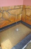Туры в отель Hotel Shouryuen Kaisei Туры в отель Hotel Shouryuen Kaisei