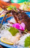 Туры в отель Hotel Shouryuen Kaisei Туры в отель Hotel Shouryuen Kaisei
