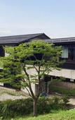 Туры в отель Hotel Kikori Туры в отель Hotel Kikori