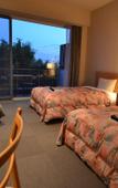 Туры в отель Hotel The Day Osaka Туры в отель Hotel The Day Osaka