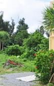 Туры в отель Pension Sunset Beach Туры в отель Pension Sunset Beach