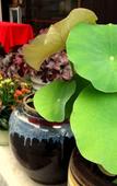 Туры в отель Guesthouse Soi Туры в отель Guesthouse Soi