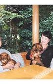 Туры в отель lenessa akazawa Туры в отель lenessa akazawa