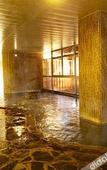 Туры в отель Ooedo Onsen Monogatari Hotel Shinko Туры в отель Ooedo Onsen Monogatari Hotel Shinko