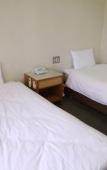 Туры в отель Toyokawa Grand Hotel Туры в отель Toyokawa Grand Hotel