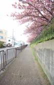 Туры в отель Kiyomori no Baika Туры в отель Kiyomori no Baika