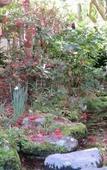 Туры в отель Ryokan Hanareya Ishidaya Туры в отель Ryokan Hanareya Ishidaya