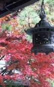 Туры в отель Ryokan Hanareya Ishidaya Туры в отель Ryokan Hanareya Ishidaya