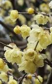 Туры в отель Ryokan Hanareya Ishidaya Туры в отель Ryokan Hanareya Ishidaya