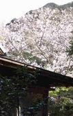 Туры в отель Ryokan Hanareya Ishidaya Туры в отель Ryokan Hanareya Ishidaya