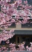 Туры в отель Ryokan Hanareya Ishidaya Туры в отель Ryokan Hanareya Ishidaya