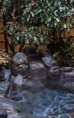 Туры в отель Ryokan Hanareya Ishidaya Туры в отель Ryokan Hanareya Ishidaya