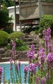Туры в отель Ryokan Hanareya Ishidaya Туры в отель Ryokan Hanareya Ishidaya