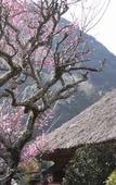 Туры в отель Ryokan Hanareya Ishidaya Туры в отель Ryokan Hanareya Ishidaya