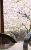 Туры в отель Ryokan Hanareya Ishidaya Туры в отель Ryokan Hanareya Ishidaya