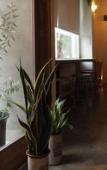 Туры в отель almond hostel & cafe Shibuya Туры в отель almond hostel & cafe Shibuya