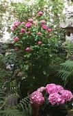 Туры в отель Nakayama Guesthouse Туры в отель Nakayama Guesthouse