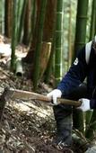 Туры в отель Tsukasaya Ryokan Туры в отель Tsukasaya Ryokan